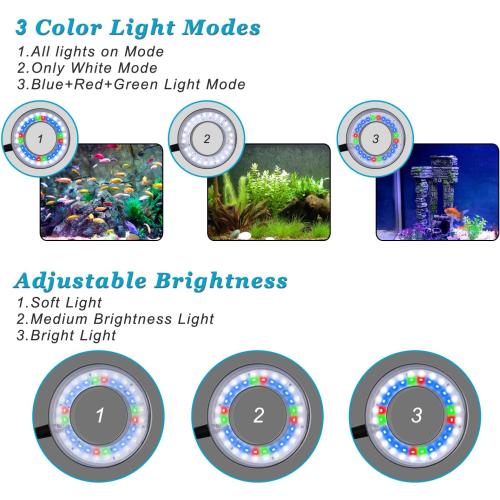 DOMICA Clip On Aquarium Light for 1 to 3 Gal Fish Tank (Dimmable White Blue Red LED) USB Moving Lamp for Open Terrarium (Adapter NOT Included)