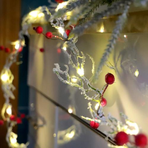 MENGNAN Fairy Decorative Lights Snow Branches Red Berries String Lights 6ft 20LEDs Battery Operated Lights for Bedroom Wedding Indoor Party Valetine's Day Mother's Day Anniversary Decor