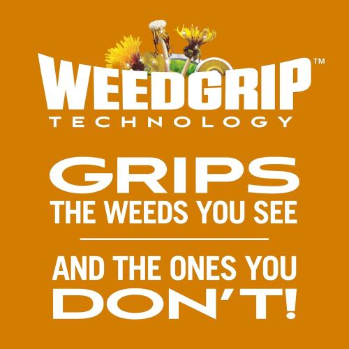 Scotts Turf Builder WinterGuard Fall Weed & Feed3, Weed Killer Plus Fall Fertilizer, 4,000 sq. ft., 11.43 lbs.