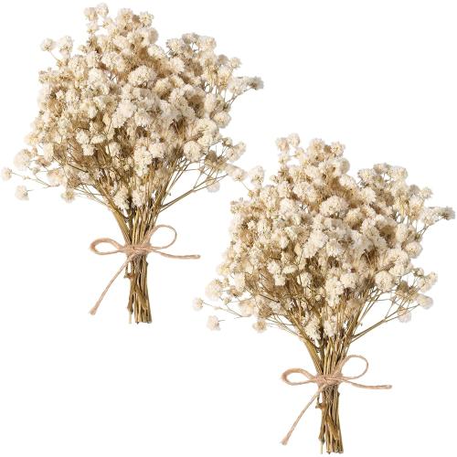 Dried Baby's Breath Bouquet, Pure White 6-7.8 Portable Mini Gypsophila Flowers, 2000  Natural Preserved Flowers for Wedding Home Decor DIY Crafts Vase Filler Wreath Card Making