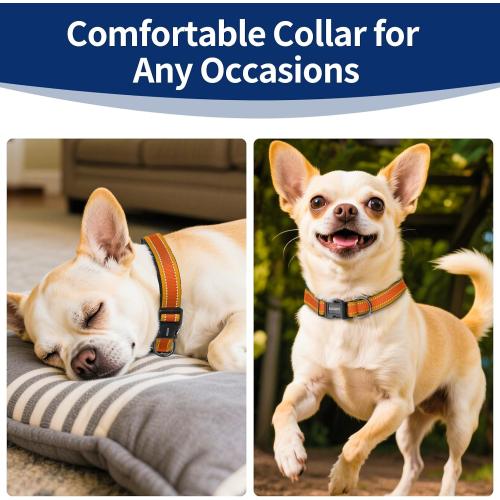 Kazazoo Reflective Dog Collar with Soft Padding Dog Collar for Medium & Small Dogs, No Pull, Heavy Duty, Adjustable Nylon Collar with Quick-Release Buckle, Walking Training-Orange-XS