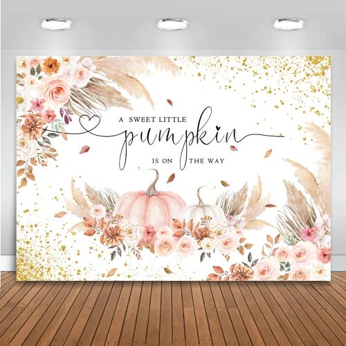 Mocsicka Pumpkin Baby Shower Backdrop Autumn Fall Baby Shower Party Decorations Banner A Little Pumpkin is On The Way Backdrop