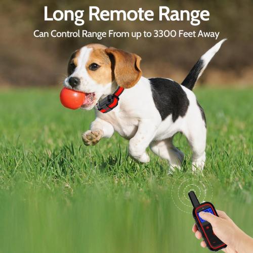 Color purple Dog Training Collar Electric Dog Collar with 4 Training Modes and Rechargeable Remote Waterproof Range 3300Ft for Small Medium Large Dogs