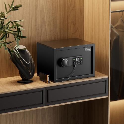 XDeer Biometric Safe Box, Quick-Access Security Safe Box with Upgraded Fingerprint, Steel Handgun Safe Lock Box for Kid/Home/Office (0.78 Cubic Feet)