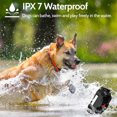 Color purple Dog Training Collar Electric Dog Collar with 4 Training Modes and Rechargeable Remote Waterproof Range 3300Ft for Small Medium Large Dogs