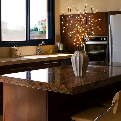 Vanthylit Set of 2 3PK 30 Brown Lighted Twig Stakes 120 Warm White Pathway Light for Outdoor and Indoor (Vase Excluded)