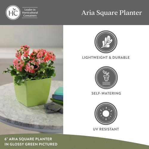 The HC Companies Aria Self Watering Square Plant Pot w/Drainage - Classic Planters for Outdoor Plants & Indoor Plants - Lightweight & UV-Resistant Plastic Pots for Plants (6 Matte Black, Pack of 2)