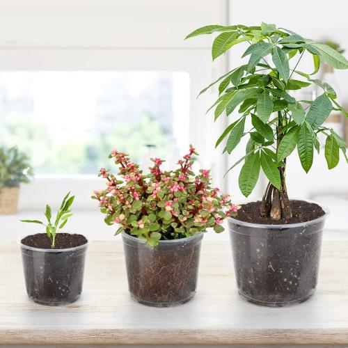 28 Pack 4/5/6/7 Inch Clear Nursery Pots for Plants with Drainage Holes, Clear Plastic Seedling Flower Plant Pot Insert, Seed Starter Pots