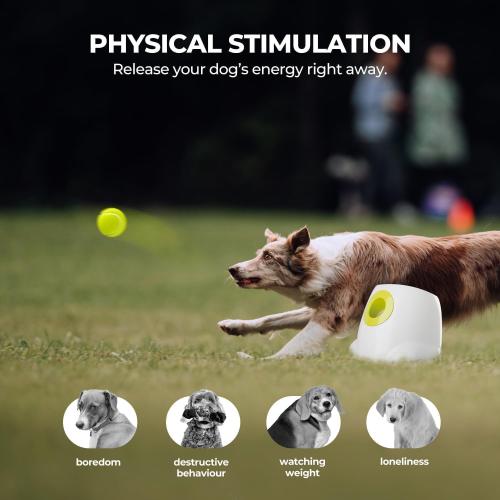 ALL FOR PAWS Automatic Dog Ball Launcher, Interactive Fetch Toy for Medium to Large Dogs, Rechargeable Pet Ball Thrower Machine for Outdoor Play, 6 Pcs 2.5-Inch Balls Included