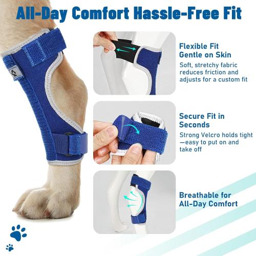 Dog Leg Braces for Back Leg- Hock and Ankle Joint Support Brace for Rear Legs with 2 Metal Strips, Reflective Edging for Sprain, Injury, Arthritis, Wound Recovery,Blue,L