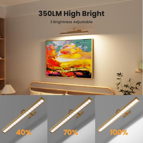 Wireless Picture Light Battery Operated, 1Pack Remote Control Painting Light with Timer, 13Hrs Service Life Art Display Light for Picture Frame Artworking Portrait, Poster, Photo, Mirror -Brass