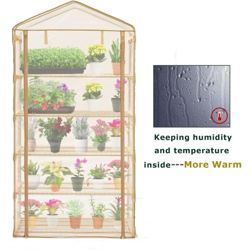 Beige Garden 50% Extra Wide Mini Greenhouse 5 Tier Portable Plant Green House 40 in Wide -Sturdy Gardening Shelves with PE Cover & Roll-Up Zipper Door-19″W. x 40″L. x63″H(PLGH1005OWP)