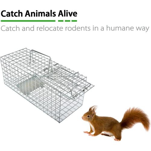 Heavy Duty Humane Live Animal Cage Trap for Squirrels, Weasels and Similar-Size Rodents - 17” x 7” x 7”