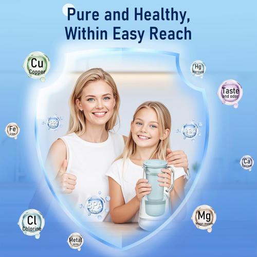 Water Filter Replacement for Lifestraw® Home Dispenser 18 C/Glass Pitcher 7 C/Plastic Pitcher 10 C/Plastic Pitcher 7 C.6 Activated Carbon   Ion Exchange Filter and 1 Membrane Micro Filter (6 1)