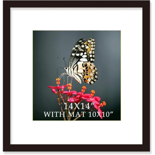 14x14 Frame Black With Mat 10x10 Solid Wood Picture Frames Wall Mounting (1 pack, 14x14 Inch)…