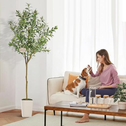 Faux Olive Tree 6ft,Olive Trees Artificial Indoor,Large Fake Olive Plants with Natural Wood Trunk and Lifelike Leaves for Living Room and Office