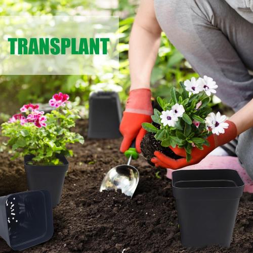 Square Nursery Pots (2.7, 3, 3.5, 4) with Drainage Holes 20 Pcs, Plastic Seed Starting Pots, Sturdy and Durable Seedling Pots for Planting, Cuttings and Transplanting, Black