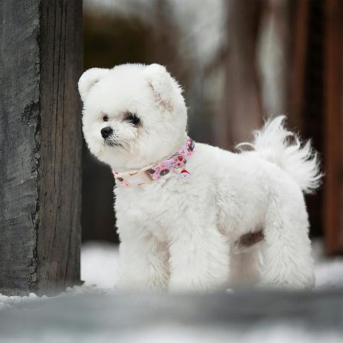 Pink Christmas Dog Collar, Adjustable Cotton Dog Collars with Santa & Snowman Patterrn, Holiday Dog Collars for Small Dogs, Cute Winter Collar for Girl Boy Dogs-S