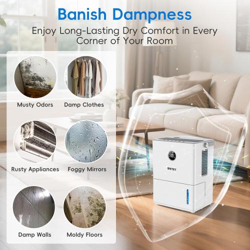 2-in-1 Dehumidifier and Humidifier Combo, 68 oz Tank with Auto Shutoff, Smart Humidity Control, 30-Second Rapid Dehumidification, 12H Timer, 7-Color LED Light for Home Use