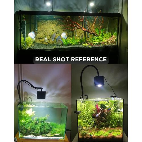 Lominie Aquarium LED Light 10 Gallon Fish Tank Light Timer Clip on Aquarium Lamp Full Spectrum 80W 6500k for Freshwater Refugium Cube Tank with Gooseneck