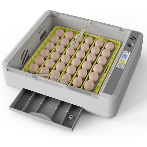 Egg Incubator for Hatching Chicks, 36 Eggs Automatic Turner with Temperature & Humidity Control, Multifunctional Ultra-Clear Panoramic View with Hatch Days & Egg Candler for Chicken, Duck, Goose, Bird