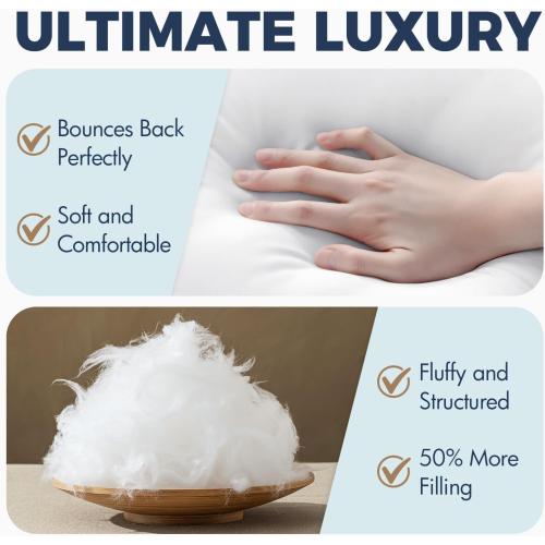 MIULEE 20x20 Pillow Inserts, Fluffy Down Alternative Filling Pack of 2 Ultra Soft Throw Pillows for Sofa Couch Bed