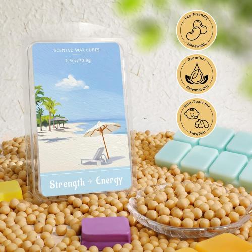 STRN Wax Melts Natural Soy Wax Cubes with Essential Oils - Long Lasting Strong Fragrance Tarts for Warmer, Home, Spa, Gift Use - 4 x 2.5oz Aromatherapy Wax Melts Variety Pack