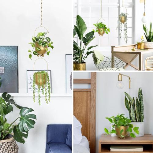 AceList Boho Gold Metal Hanging Planters,  with Hooks & Chains - Versatile Wall & Ceiling Plant Hangers for Indoor/Outdoor Décor