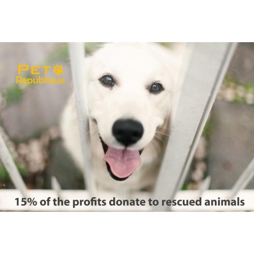 Pet Republique Dog Toothbrush Set of 6 – Dual Headed Dental Hygiene Brushes for Small to Large Dogs, Cats, and Most Pets