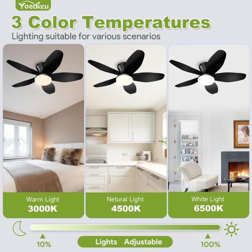 Ceiling Fans with Lights - 35 Inch Small Low Profile Ceiling Fan and Remote,Flush Mount Ceiling Fan with 5 Reversible Blades 6 Wind Speeds, Black Modern Ceiling Fans for Bedroom Kitchen