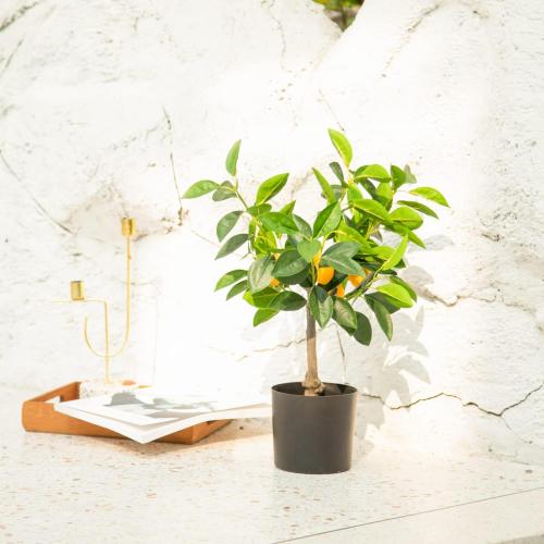 Velener Fake Lemon Tree 19- Bonsai Tree Indoor with Pot Farmhouse Home Decor Living Room Kitchen Shelf Office Desk Bathroom Table Mini Outdoor Tree Faux Plant Porch Lemon Decor Floor Plant Tall