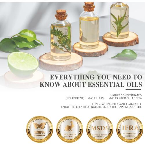 Vanilla Essential Oil 100ml, MAYJAM Premium Essential Oils for Aromatherapy, Diffuser, Soap Making, Candle Making, Large Bottle Vanilla Oil with Gift Box(3.38fl.oz)