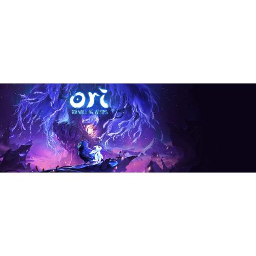 Ori and the Will of the Wisps - Xbox One