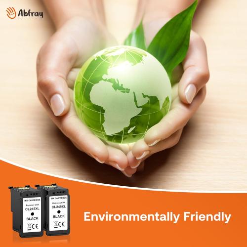 Remanufactured Ink Cartridge Replacement for Canon 245XL for PIXMA MG2420 MG2520 MG2522 MG2525 MG2920 MG2922 MG2924 MG3020 MG3022 MG3029 TR4520 TR4522 TS3120 TS202 Printer (Black 2 Pack)