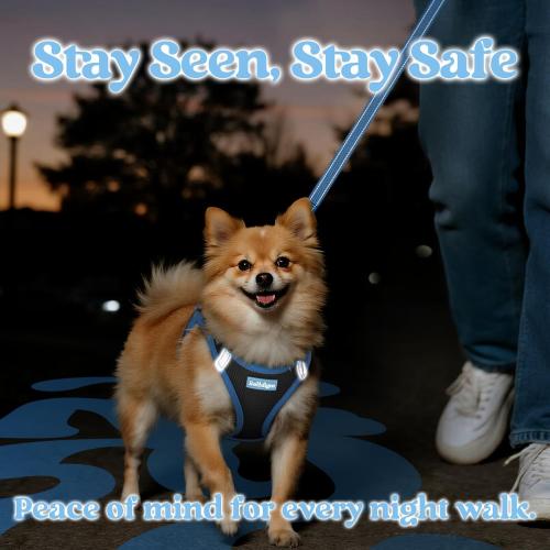 rabbitgoo Dog Harness Small Sized and Leash Set, Step in Soft Vest
