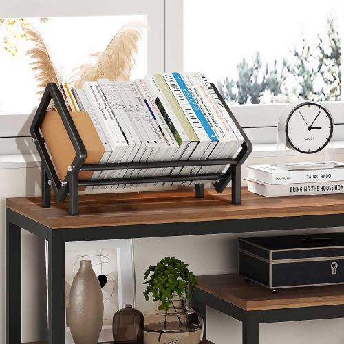 Stainless Steel Tabletop Bookshelf Desk Book Organizer for Book Lover and Record Holder, Desktop Storage Book Rack for Magazine/CDs/Books Display, Small Desktop Bookcase in Office/Home /Living Room