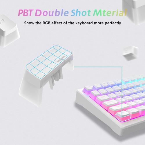 Womier Pudding Keycaps, PBT Shine Through Keycaps 165 Keys Set Custom Key caps Set OEM Profile, Universal Compatiability for 100%, 75%, 65%, 60% Keyboard-White