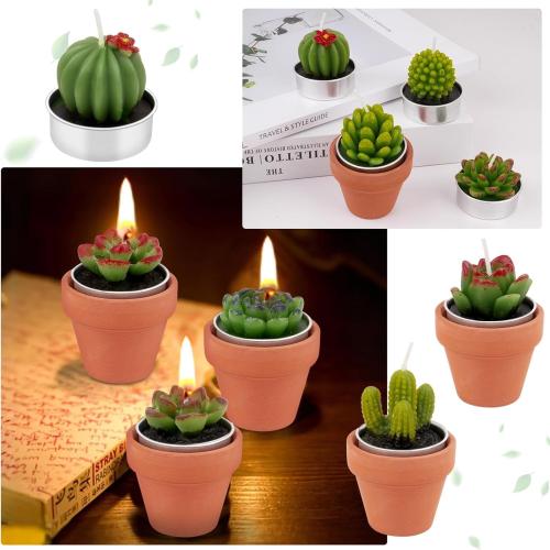 36 Pcs Succulent Cactus Candles Party Favors- Succulent Tealight Candles, Bulk Candle for Favors, Cactus Tea Light Candle with Mini Terracotta Clay Holders for Wedding Home Party Decor