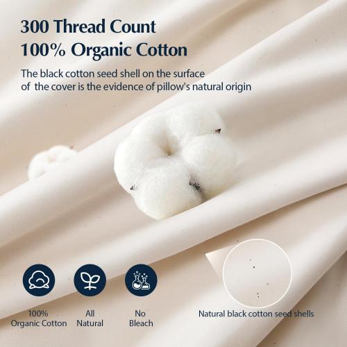 Pacific Coast Goose Feather and Down Bed Pillows for Side and Back Sleepers,  Set of 2, 100% Organic Cotton Cover, Firm Pillows, Gusseted Pillows of Hotel Collection