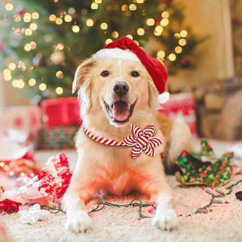 Malier Christmas Dog Collar with Flower, Red Dog Christmas Collar with Buckle Adjustable Cotton Collar for Small Medium Large Dogs Puppy (X-Small, Red Stripe)