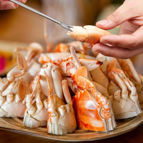 Stainless Steel Seafood Cracker Tool Set With Lobster Sheller,Crab Crackers Crab Leg Fork Seafood Scissors With Storage Bag,Lobster Tools (21)
