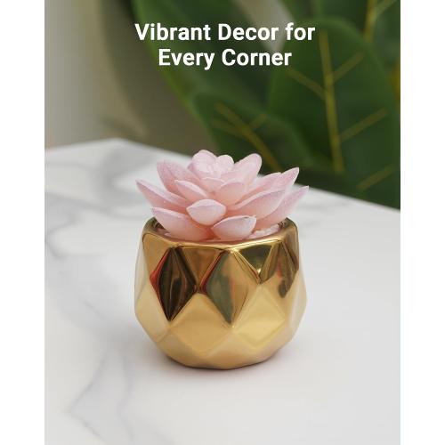 VIVERIE Mini Succulents Plants Artificial in Pots-Pink Succulents with Golden Ceramic, Small Fake Succulents for Home Decor Indoor for Women, White Ceramic Faux Succulents, Gifts for Mom-1 Pack