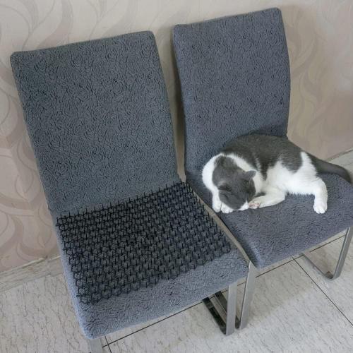 Color White Size 6x8 Ley's 24 Pack Cat Deterrent Mat, 6 x 8 in Scat Mat with Spikes, Keep Cats Away from Plants, Indoor Furniture & Outdoor Garden Fence – Pet Repellent Barrier