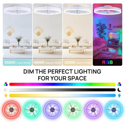 Size 20 Color White RGB Ceiling Fans with Lights, 20 Fandelier Low Profile Ceiling Fan with Light, Modern Flush Mount Ceiling Fan Light with Remote/APP Control, Bedroom Chandelier Fan Fixture for Indoor(White)