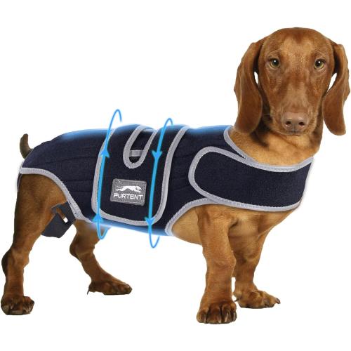 Size M Dog Back Brace for IVDD, Joint Discomfort, Small Support Harness for Dachshund Recovery, Spinal Relief & Back Stability