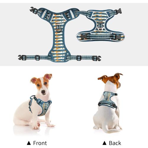 Size XL Timos Dog Harness, 3 Snap Buckles No-Pull Soft Padded Dog Vest with 2 Metal Leash Clips, Adjustable Reflective No Choke Pet Harness with Easy Control Handle for Small Dogs, Sunset Valley,
