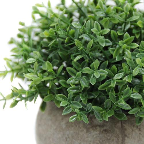 Velener Mini Sage Green Potted Boxwood Topiary Artificial Plants for Home Decor Indoor, Farmhouse House Plant Office Small Desk Shelf Apartment Coffee Bar Bathroom Decor Guest Room, Small Fake Plant