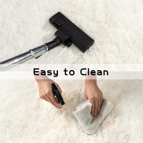 White fluffy area rug medium/small