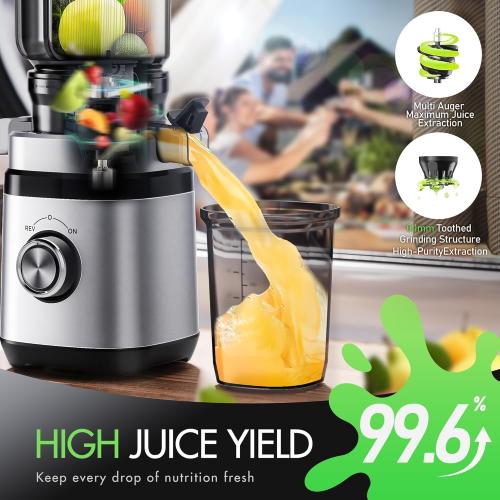 Juicer Machines, Cold Press Juicer with 4.41 Wide Feed Chute, 350W Slow Masticating Juicers for Whole Vegetables & Fruits, High Juice Yield, Easy to Clean, Large Auger, Silver