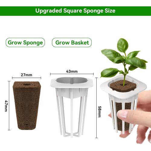 LYKO Lettuce Spinach Broccoli Seed Starter Kit for Hydroponics Growing System, Vegetable Pod Kits for Planting Indoor Garden 500  Seeds (Lettuce, Arugula, Green Chard, Broccoli, Spinach) - 3 Pods